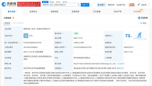 螞蟻數科在武漢成立信息技術公司，深化技術咨詢布局